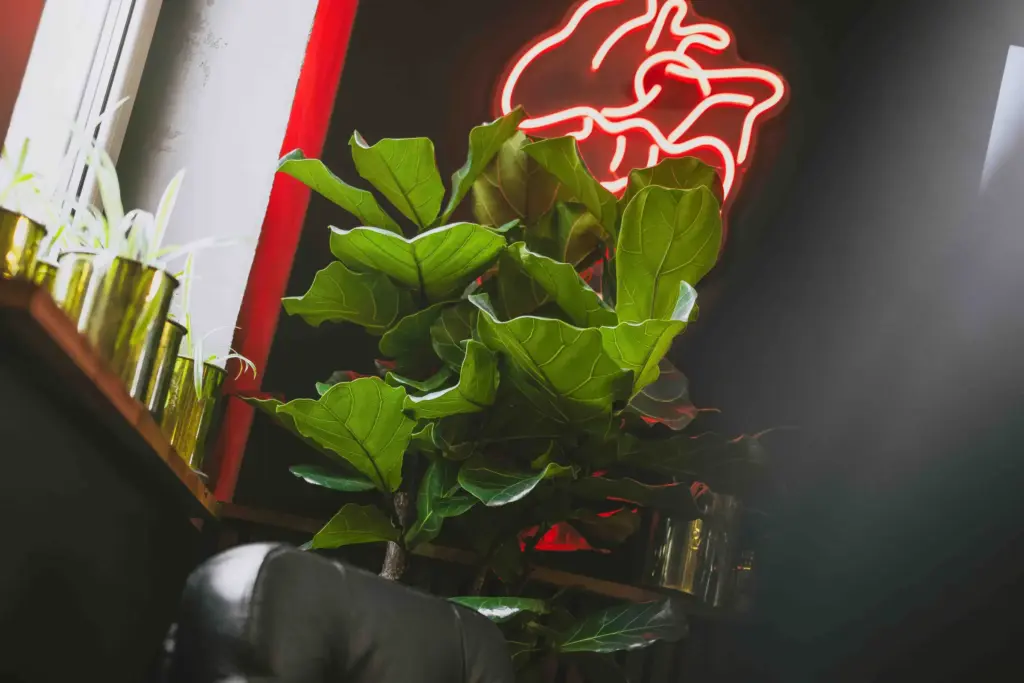 Rotes Neon-Herz über einer Pflanze im Büro der Agentur Ausdruckslos